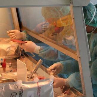 Cseke promite sancţiuni pentru medicii care testează "la negru" medicamente pe pacienţii din spitalele publice 